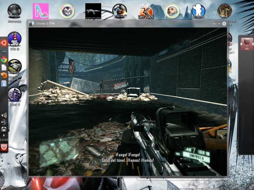 Crysis_Linux